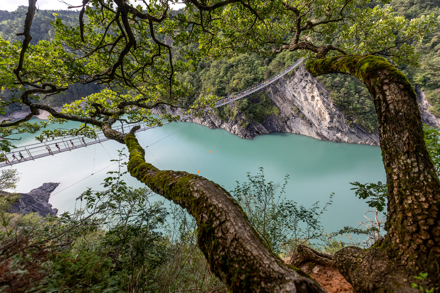 Récit de course : Trail des Passerelles du Monteynard